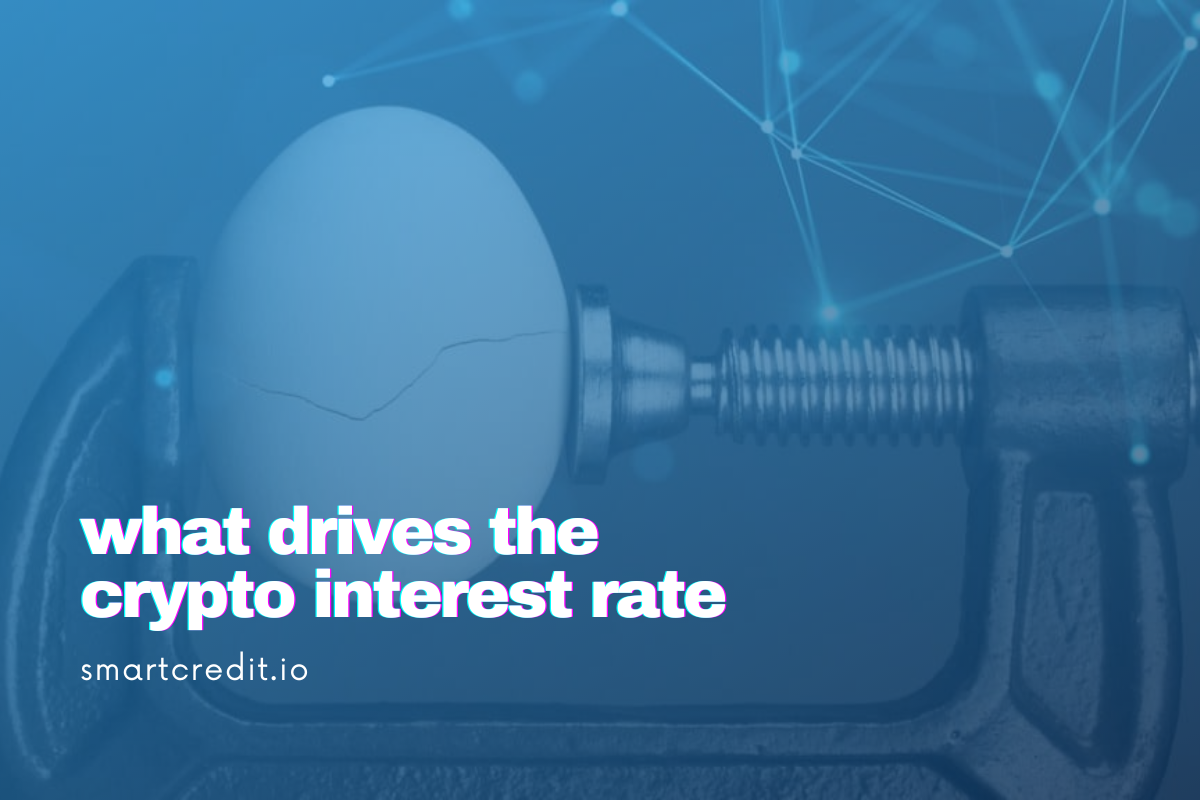 What drives the crypto interest rate