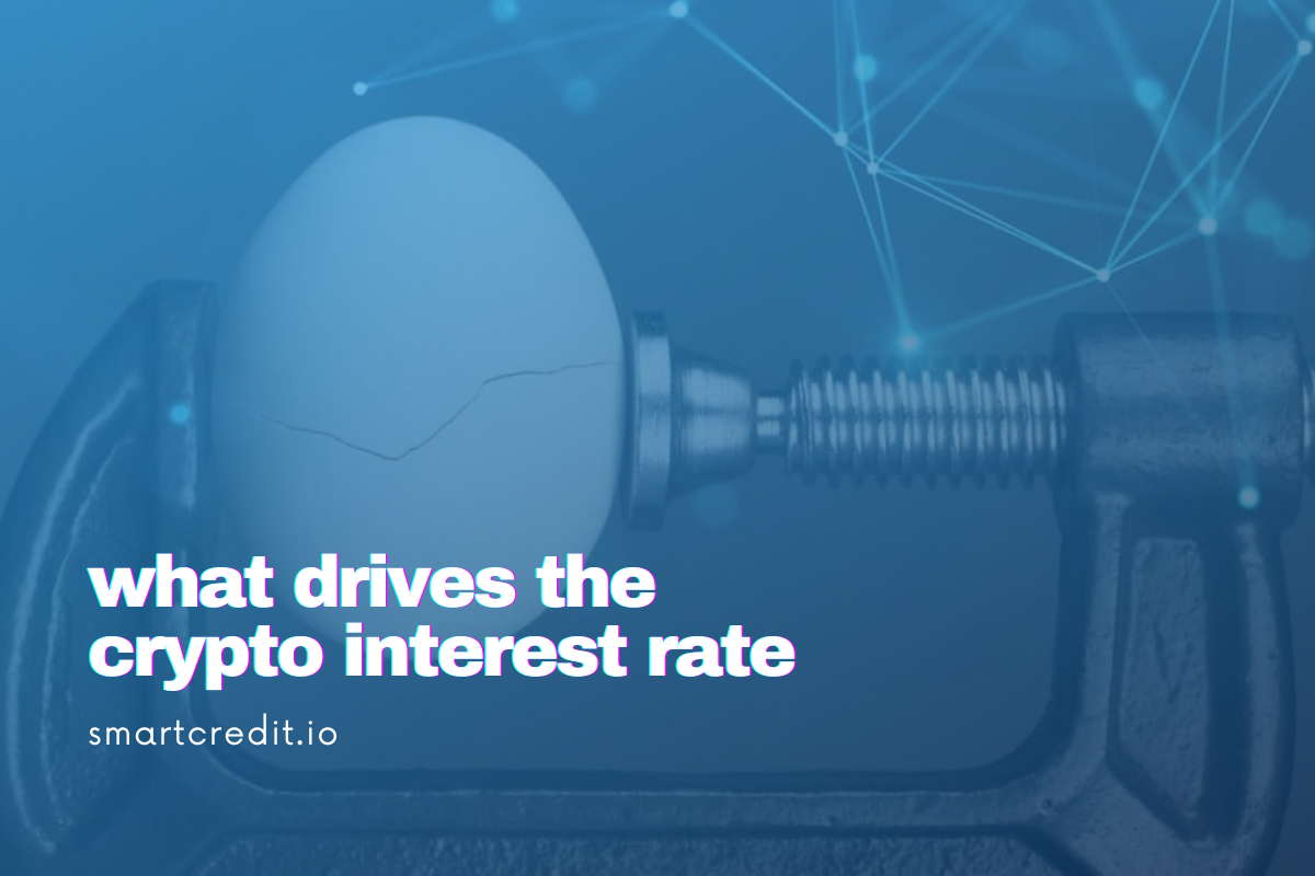 interest rates affect crypto